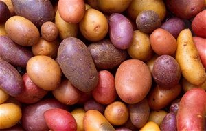 Concurso De Mayo Con Patatas

