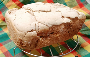 Pan De Cerveza Sin Gluten Y Sin Lactosa