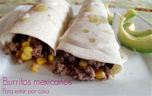 Burritos Mexicanos #tsviajeromexico
