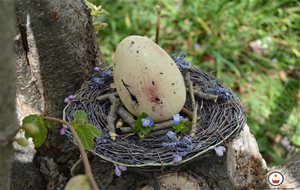 Huevos De Pascua