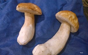 Revuelto De Boletus Con Jamón
