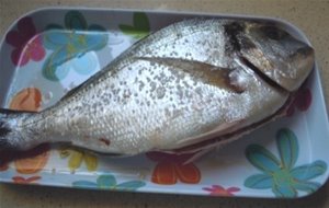 Dorada Al Horno Con costra