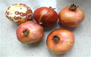 Ensalada Con Granada, Fruta Típica Del otoño