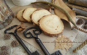 Premio A Las Galletas Tronco De Árbol
