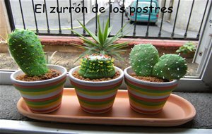 Macetas De Cactus Sweets
