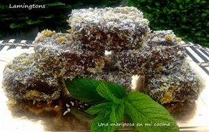 Lamingtons
