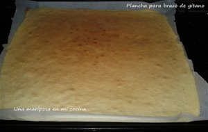 Plancha Para Brazo De Gitano
