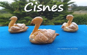 Cisnes
