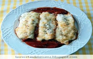 Receta De Canelones Con Carne
