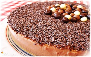 Tarta Fresca Light De Chocolate Y Queso Batido 0/0
