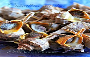 Cañaillas Cocidas ( Gastronomía Gaditana)
