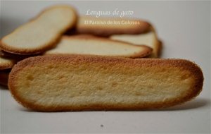 Lenguas De Gato-reto Tia Alia Del Mes De Junio
