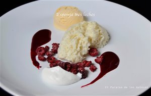 Esponja De Tres Leches -enrique Olvera
