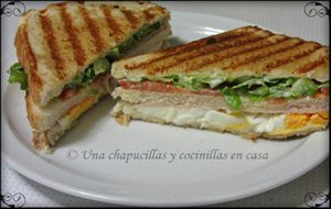 Sandwiches Y Perritos