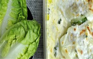 Cogollos De Lechuga Gratinados (#colorysabor)