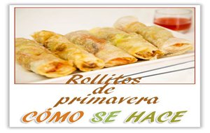 Rollitos De Primavera Vegetales
