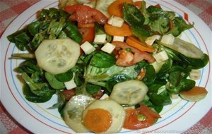 Ensalada De Can&oacute;nigos, Pepino, Tomate, Cebollitas, Zanahoria Y Mozzarella