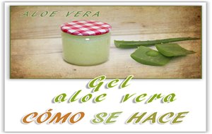 Gel Aloe Vera
