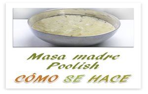 Madre Masa Poolish
