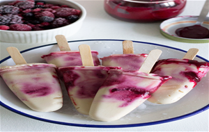 Helado De Yogurt Y Frutos Del Bosque
