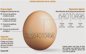 Los Huevos De Gallina
