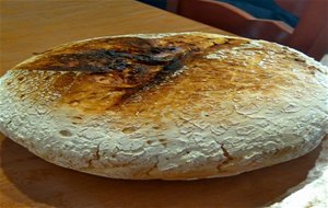 Pan Sin Gluten En Olla Gm Y Cecomix
