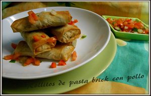 Rollitos De Pasta Brick Con Pollo
