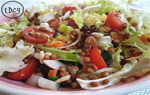 Ensalada De Lentejas Con Verduritas/lentils Salad With Vegetables

