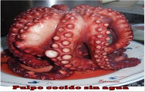 Pulpo Cocido Sin Agua
