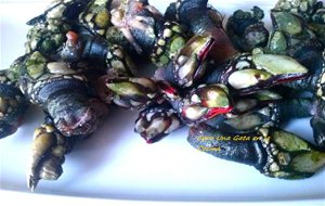 Percebes
