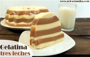 Gelatina tres leches con nutella