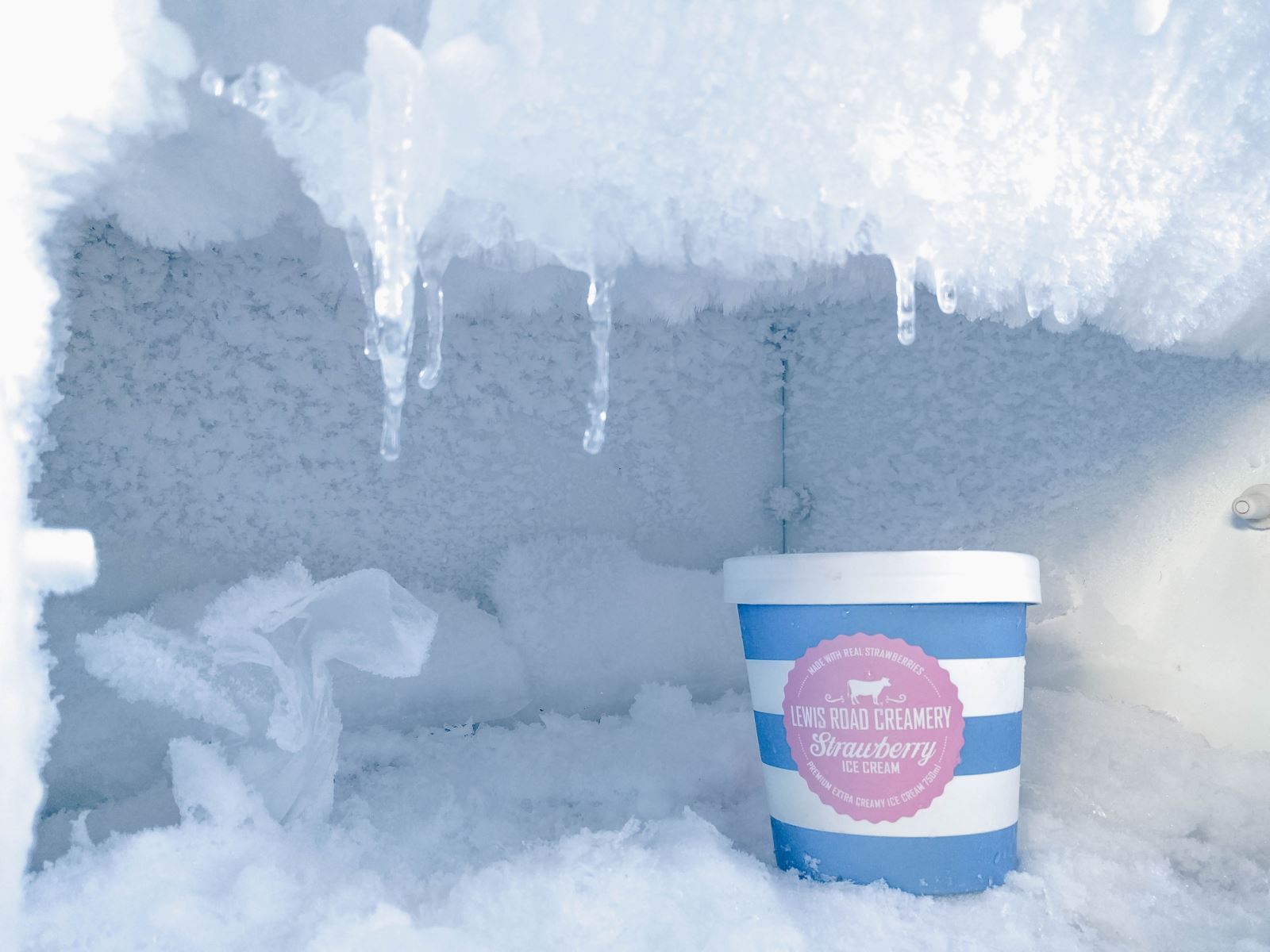 Mucho más que helados en nuestros congeladores y Restaurantes.